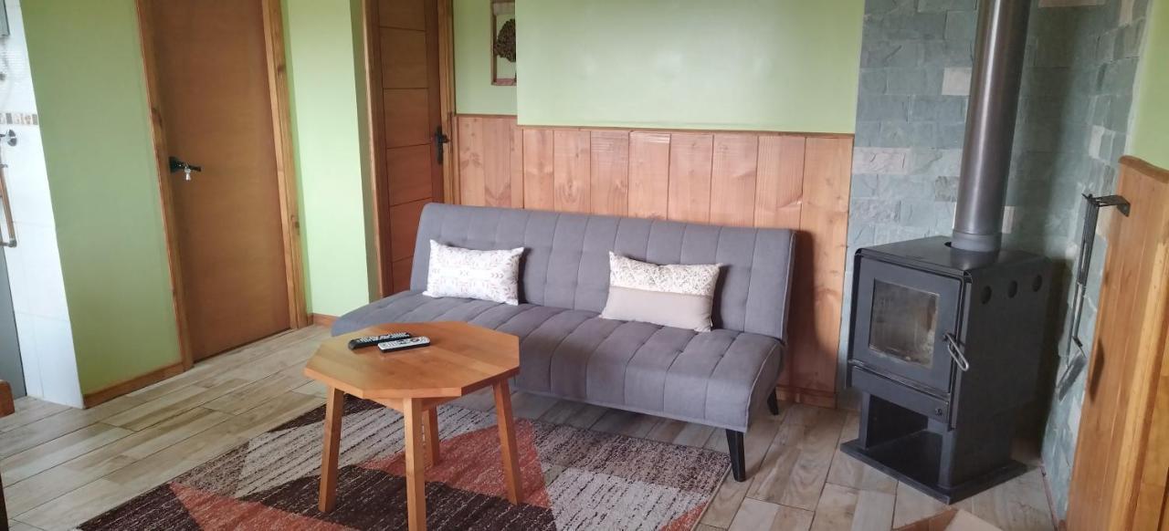 Appartement El Embrujo Patagon à Coyhaique Extérieur photo